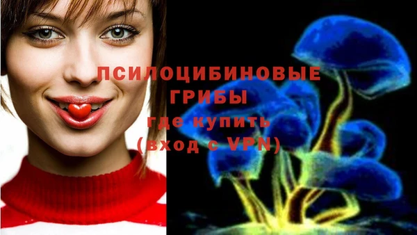 эйфоретик Арсеньев