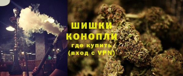 ПСИЛОЦИБИНОВЫЕ ГРИБЫ Аркадак